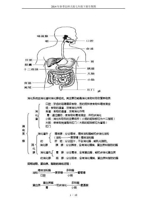 2014年春季北师大版七年级下册生物图