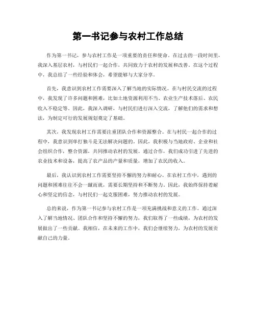 第一书记参与农村工作总结