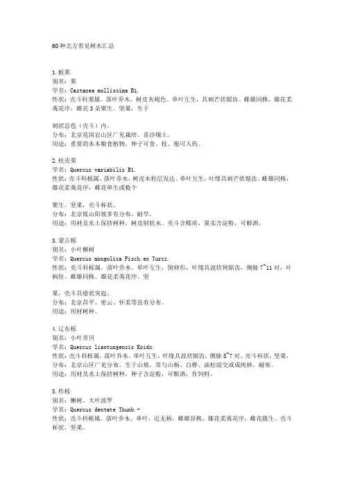 60种北方常见树木汇总