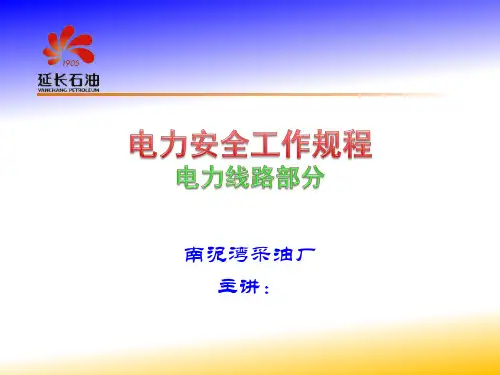 电力安全工作规程