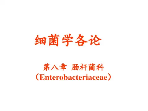 兽医微生物学-肠杆菌科(埃希菌属+沙门氏菌属)