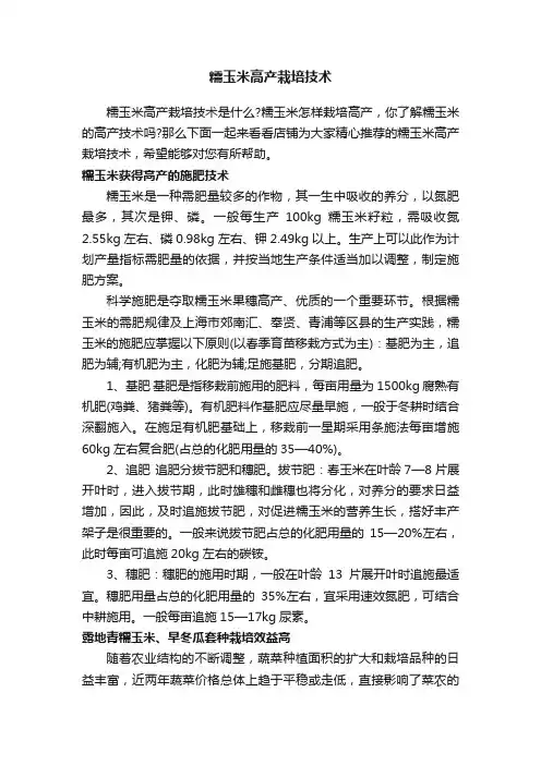 糯玉米高产栽培技术