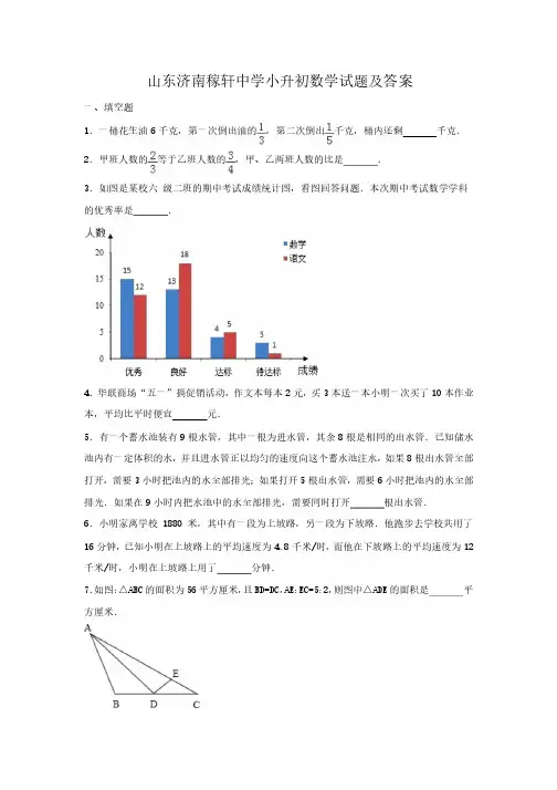 小升初数学试题试卷及答案 