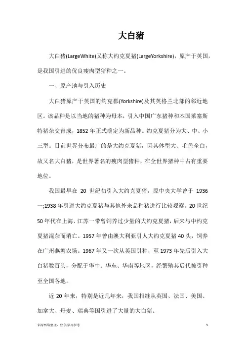 大白猪知识整理