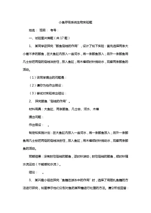 小鱼呼吸系统生物实验题