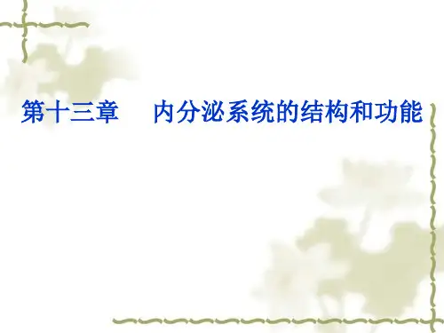 人体解剖生理学：第十三章 内分泌系统的结构和功能