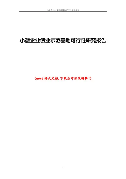 小微企业创业示范基地可行性研究报告