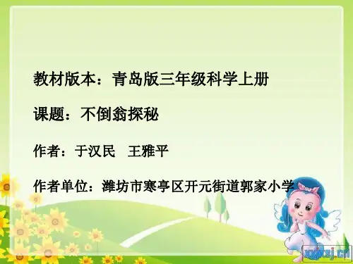 有趣的不倒翁   教学课件