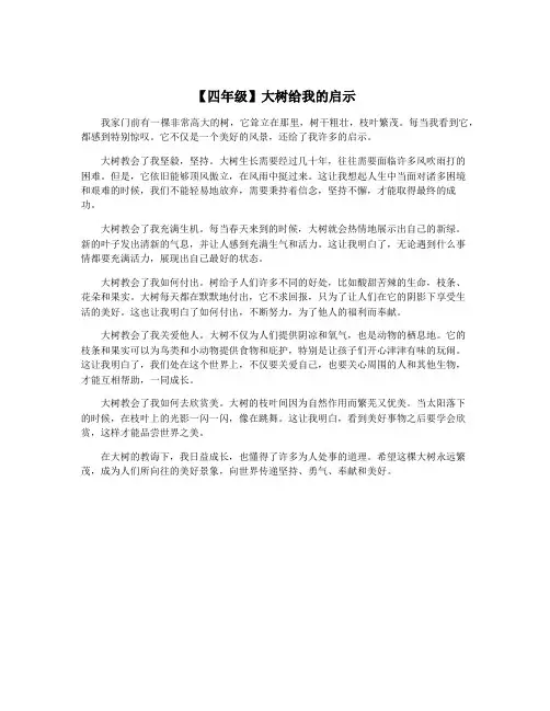 【四年级】大树给我的启示