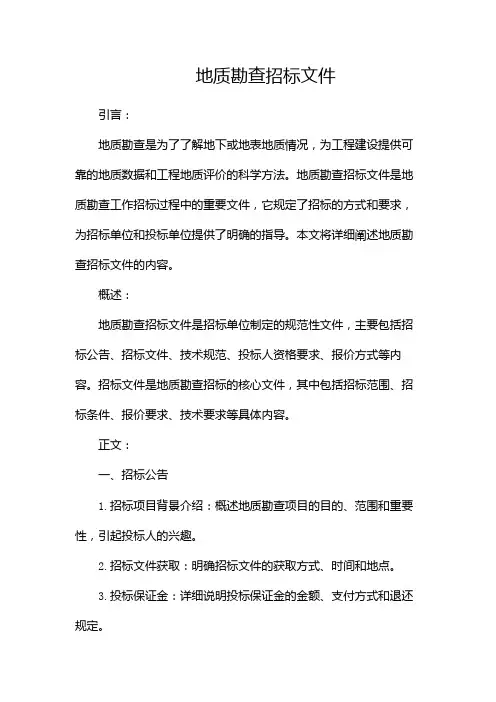 地质勘查招标文件