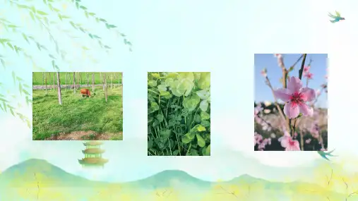 湖南版四年级音乐下册春晓音乐课ppt