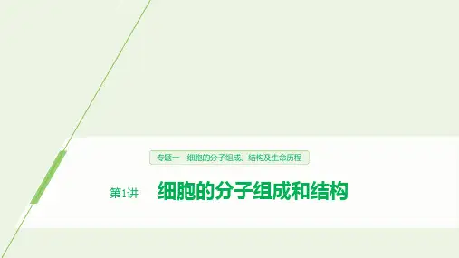 (浙江专用)2020年高考生物二轮复习专题一细胞的分子组成、结构及生命历程第1讲细胞的分子组成和结构课件