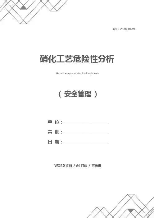 硝化工艺危险性分析