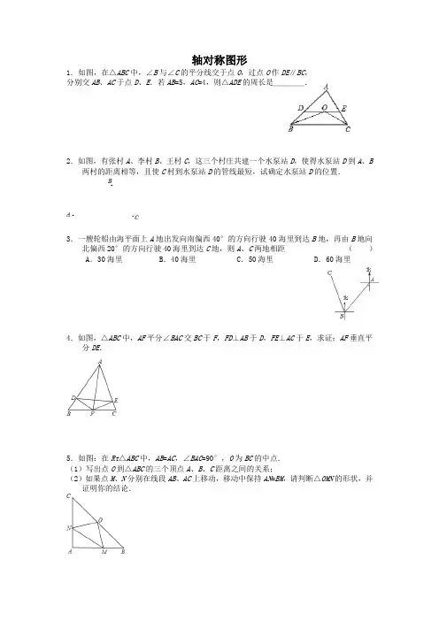 初二 轴对称图形 压轴题