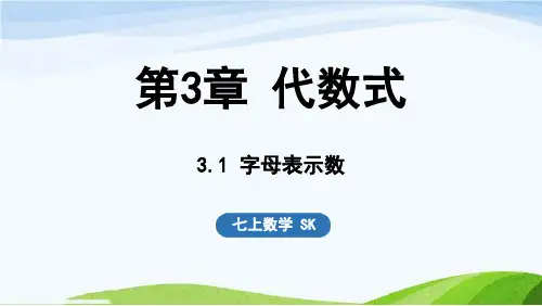 3.1 字母表示数七年级上册数学苏科版