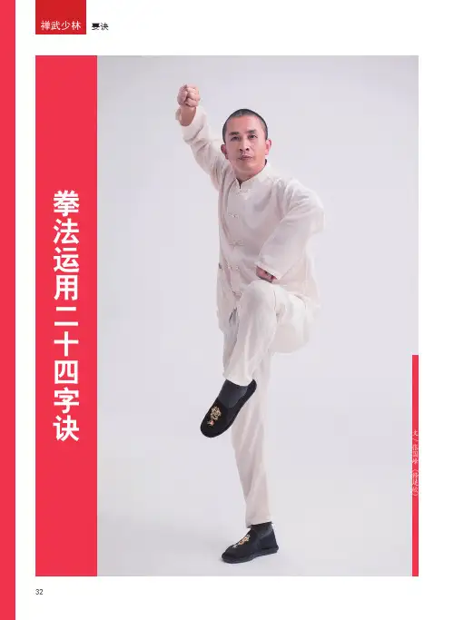 拳法运用二十四字诀