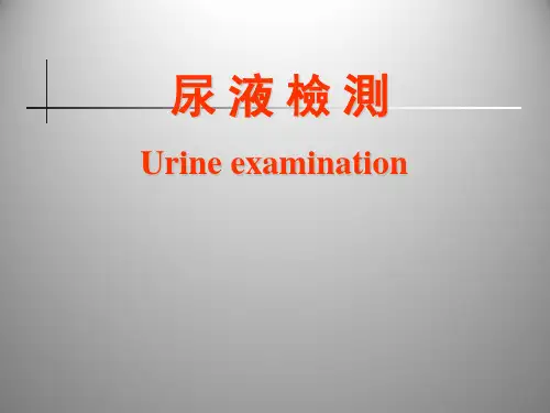 实验诊断学课件：尿液检测