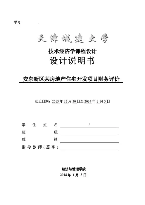 技术经济学课程设计,项目财务评价