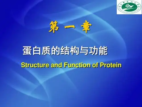 第一章蛋白质的结构与功能讲述介绍