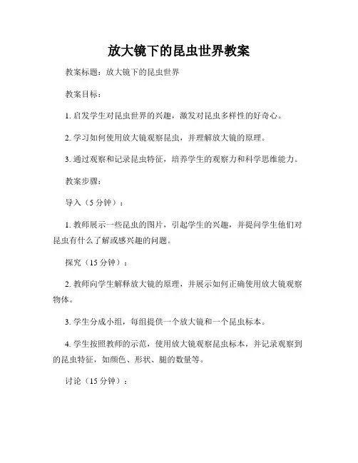 放大镜下的昆虫世界教案