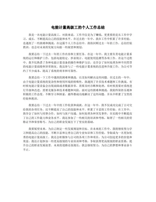 电能计量高级工的个人工作总结