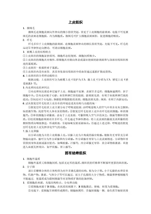 【期末究极整理】组织胚胎学!期末小结