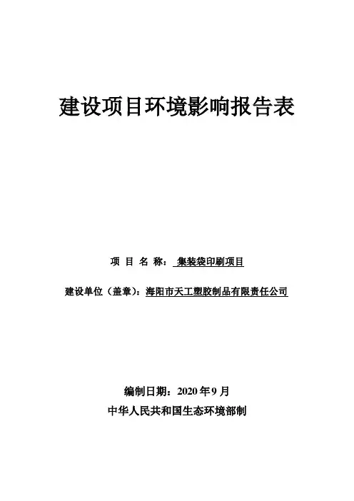 集装袋印刷项目环境影响报告表