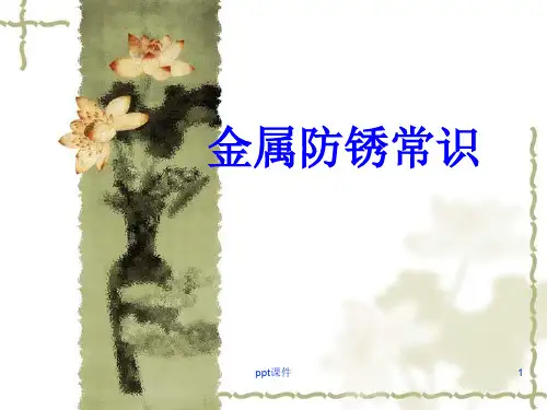 金属防锈常识  ppt课件