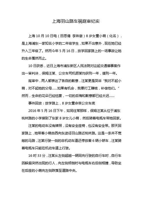 上海羽山路车祸庭审纪实