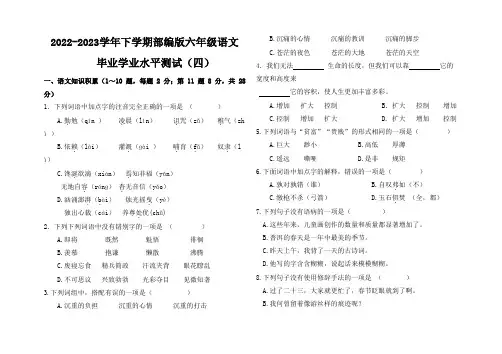 毕业学业水平测试(试题)部编版语文六年级下册