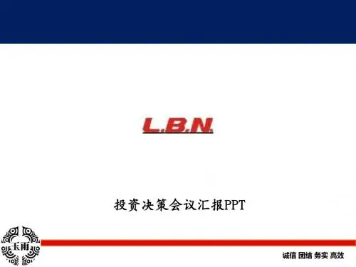 某公司投资决策会议汇报(PPT 48张)