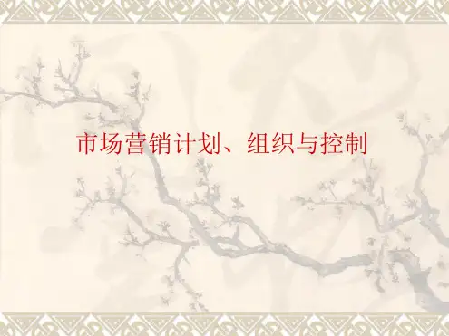 市场营销计划组织与控制