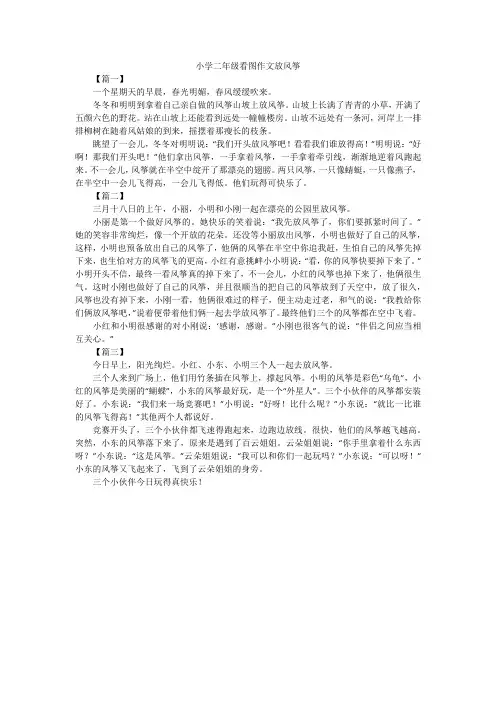 小学二年级看图作文放风筝