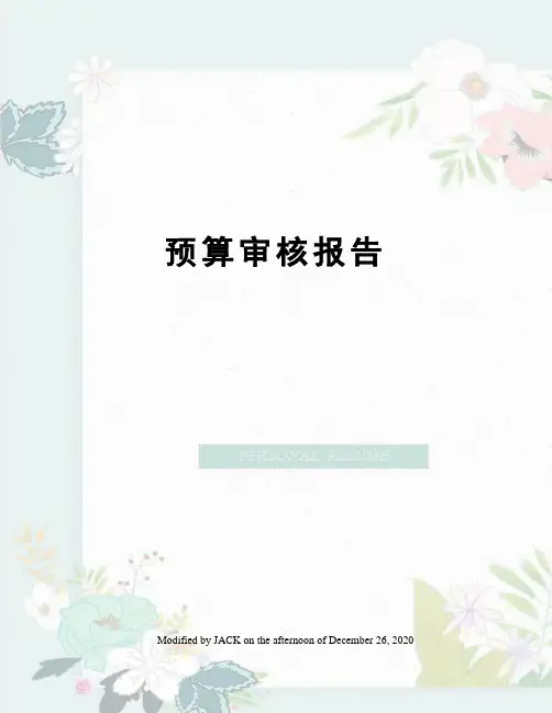 预算审核报告