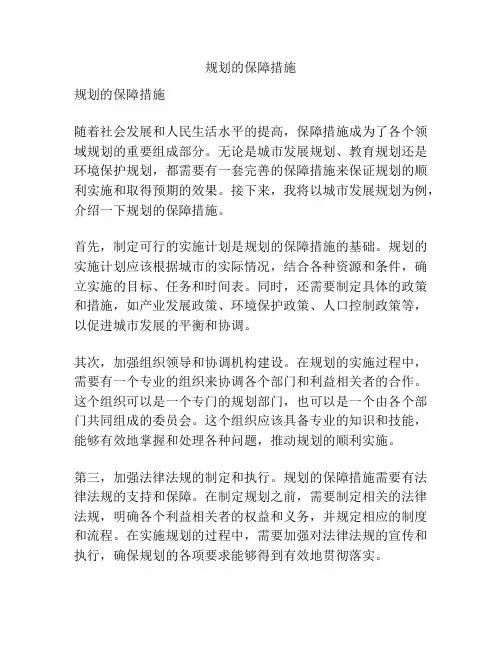 规划的保障措施