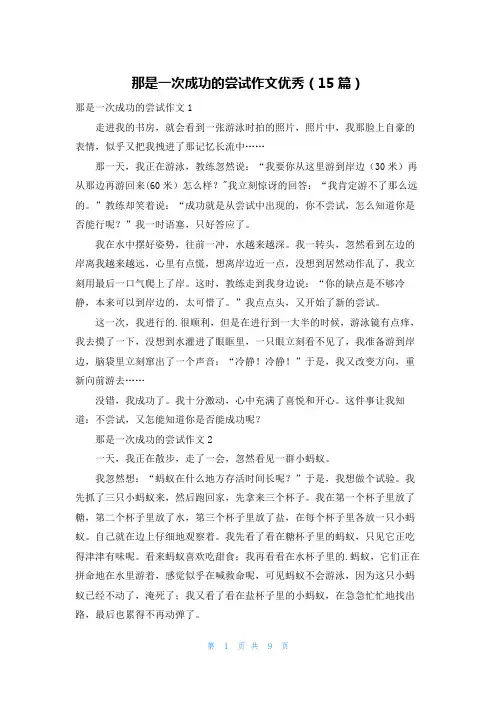那是一次成功的尝试作文优秀(15篇)
