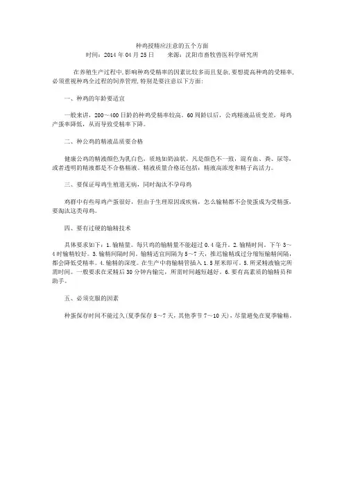 种鸡授精应注意的五个方面