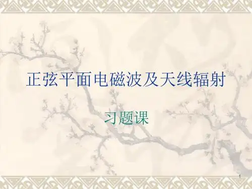 正弦平面电磁波及其传播习题课