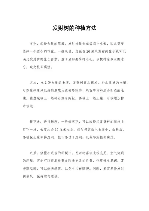 发财树的种植方法