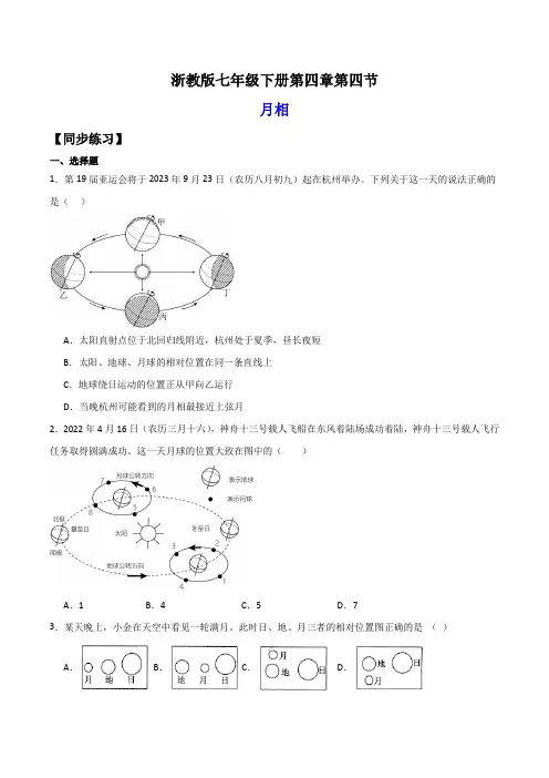 4.4月相(练习)(原卷版)