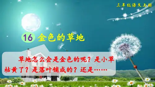 统编版语文三年级上册第16课《金色的草地》优秀课件