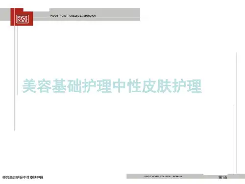 美容基础护理中性皮肤护理