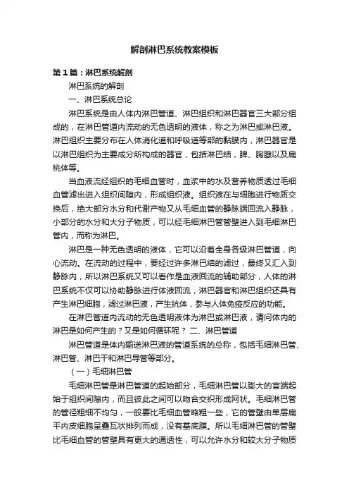解剖淋巴系统教案模板