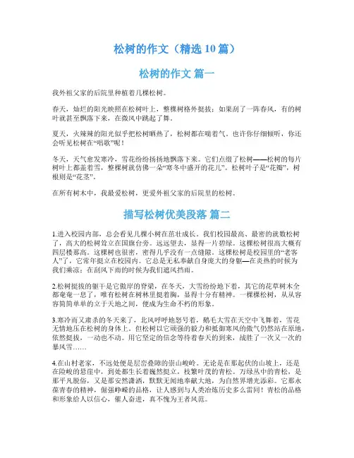 松树的作文(精选10篇)