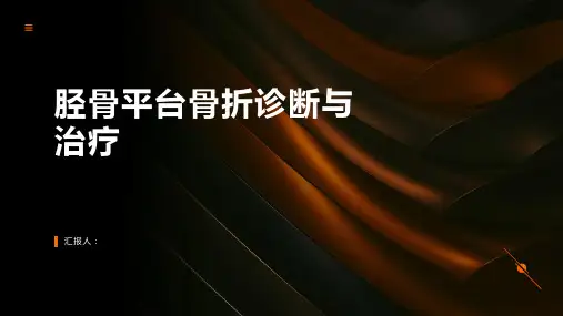 胫骨平台骨折诊断与治疗PPT