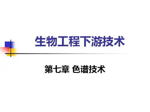 生物分离工程 第七章 色谱技术