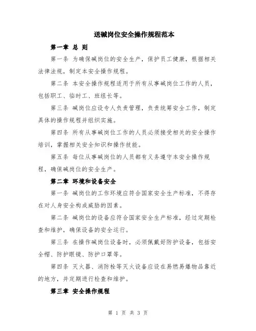 送碱岗位安全操作规程范本