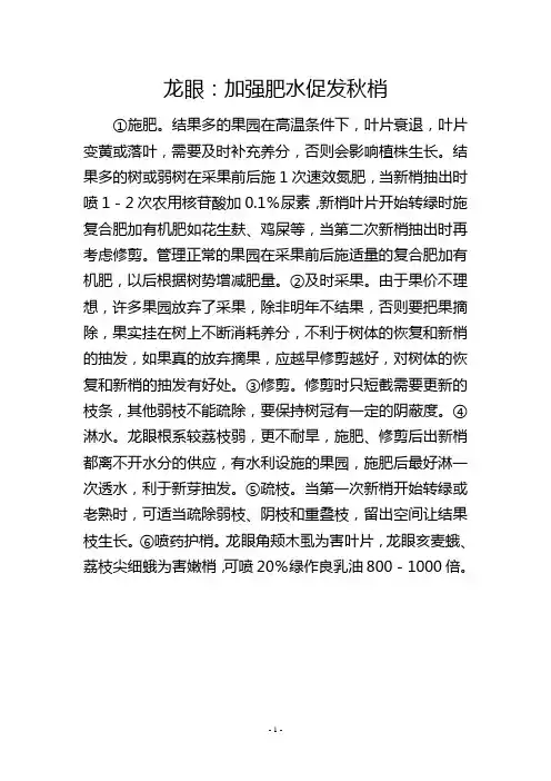 龙眼：加强肥水促发秋梢