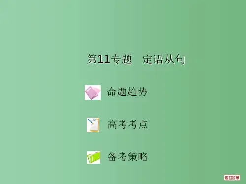 高考英语重点难点专题透析 第11专题 定语从句