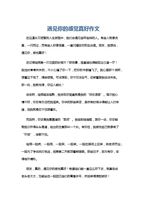 遇见你的感觉真好作文